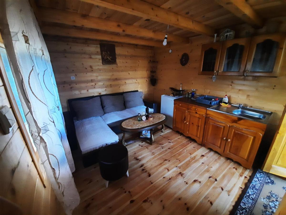 ŽabljakEtno House Momcilo别墅 外观 照片